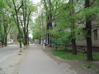 Лесби порно шайқастары